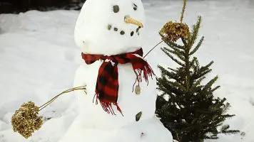 Snowman