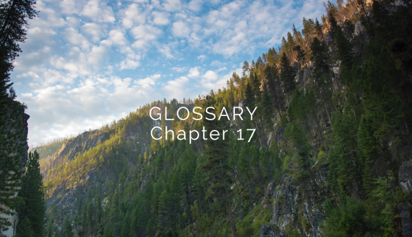 Chapter 17 glossary 1