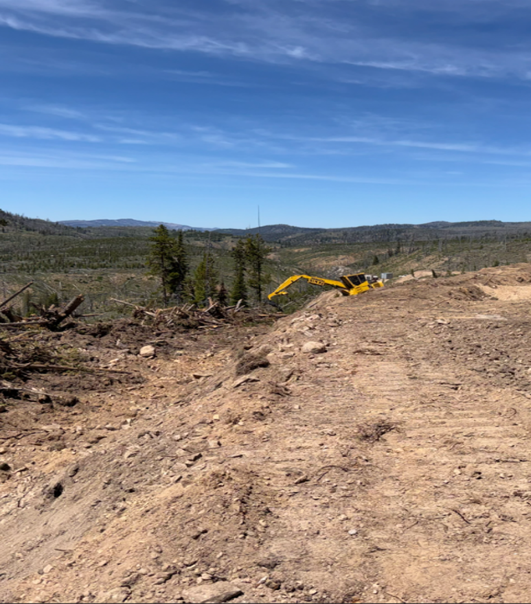 Pioneering Burntlog Route