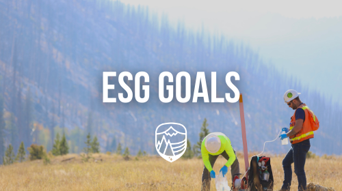 Roadmap Thumbnail 2
