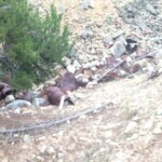 Svg+xml,%3Csvg%20xmlns%3D%22http%3A%2F%2Fwww.w3.org%2F2000%2Fsvg%22%20width%3D%2