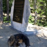 Svg+xml,%3Csvg%20xmlns%3D%22http%3A%2F%2Fwww.w3.org%2F2000%2Fsvg%22%20width%3D%2