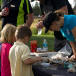 Svg+xml,%3Csvg%20xmlns%3D%22http%3A%2F%2Fwww.w3.org%2F2000%2Fsvg%22%20width%3D%2