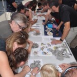 Svg+xml,%3Csvg%20xmlns%3D%22http%3A%2F%2Fwww.w3.org%2F2000%2Fsvg%22%20width%3D%2