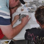 Svg+xml,%3Csvg%20xmlns%3D%22http%3A%2F%2Fwww.w3.org%2F2000%2Fsvg%22%20width%3D%2