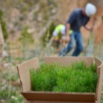 Svg+xml,%3Csvg%20xmlns%3D%22http%3A%2F%2Fwww.w3.org%2F2000%2Fsvg%22%20width%3D%2