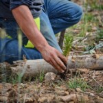 Svg+xml,%3Csvg%20xmlns%3D%22http%3A%2F%2Fwww.w3.org%2F2000%2Fsvg%22%20width%3D%2