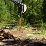 Svg+xml,%3Csvg%20xmlns%3D%22http%3A%2F%2Fwww.w3.org%2F2000%2Fsvg%22%20width%3D%2