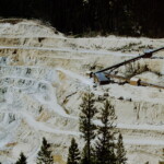 1952 Yellow Pine Pit