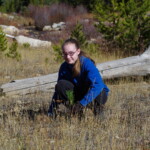 A student from Cascade High School helps Midas Gold plant trees in the Meadow Creek area at the Stibnite Gold Project site Svg+xml,%3Csvg%20xmlns%3D%22http%3A%2F%2Fwww.w3.org%2F2000%2Fsvg%22%20width%3D%2