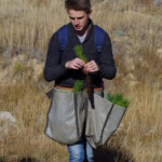 More than 36 Cascade High School students volunteered to help us plant trees and raise money for their school