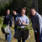 Cascade High School has some hard working students. These students spent their entire day up at site helping us plant lodgepole pine trees