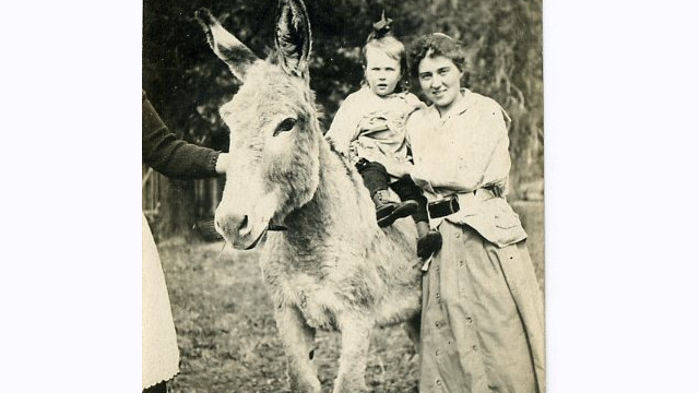 Abstein Svg+xml,%3Csvg%20xmlns%3D%22http%3A%2F%2Fwww.w3.org%2F2000%2Fsvg%22%20width%3D%2