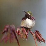 Svg+xml,%3Csvg%20xmlns%3D%22http%3A%2F%2Fwww.w3.org%2F2000%2Fsvg%22%20width%3D%2