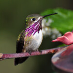 Svg+xml,%3Csvg%20xmlns%3D%22http%3A%2F%2Fwww.w3.org%2F2000%2Fsvg%22%20width%3D%2