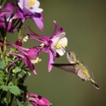 Svg+xml,%3Csvg%20xmlns%3D%22http%3A%2F%2Fwww.w3.org%2F2000%2Fsvg%22%20width%3D%2