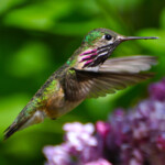 Svg+xml,%3Csvg%20xmlns%3D%22http%3A%2F%2Fwww.w3.org%2F2000%2Fsvg%22%20width%3D%2