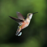 Svg+xml,%3Csvg%20xmlns%3D%22http%3A%2F%2Fwww.w3.org%2F2000%2Fsvg%22%20width%3D%2