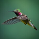 Svg+xml,%3Csvg%20xmlns%3D%22http%3A%2F%2Fwww.w3.org%2F2000%2Fsvg%22%20width%3D%2