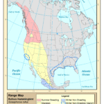 Svg+xml,%3Csvg%20xmlns%3D%22http%3A%2F%2Fwww.w3.org%2F2000%2Fsvg%22%20width%3D%2