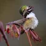 Svg+xml,%3Csvg%20xmlns%3D%22http%3A%2F%2Fwww.w3.org%2F2000%2Fsvg%22%20width%3D%2