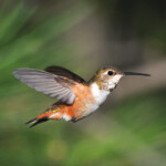 Svg+xml,%3Csvg%20xmlns%3D%22http%3A%2F%2Fwww.w3.org%2F2000%2Fsvg%22%20width%3D%2