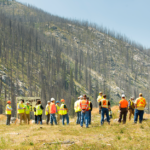 Svg+xml,%3Csvg%20xmlns%3D%22http%3A%2F%2Fwww.w3.org%2F2000%2Fsvg%22%20width%3D%2