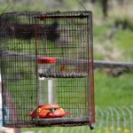 Svg+xml,%3Csvg%20xmlns%3D%22http%3A%2F%2Fwww.w3.org%2F2000%2Fsvg%22%20width%3D%2