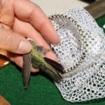 Svg+xml,%3Csvg%20xmlns%3D%22http%3A%2F%2Fwww.w3.org%2F2000%2Fsvg%22%20width%3D%2