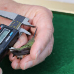 Svg+xml,%3Csvg%20xmlns%3D%22http%3A%2F%2Fwww.w3.org%2F2000%2Fsvg%22%20width%3D%2