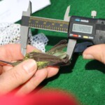 Svg+xml,%3Csvg%20xmlns%3D%22http%3A%2F%2Fwww.w3.org%2F2000%2Fsvg%22%20width%3D%2