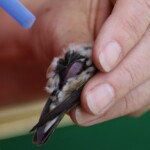 Svg+xml,%3Csvg%20xmlns%3D%22http%3A%2F%2Fwww.w3.org%2F2000%2Fsvg%22%20width%3D%2