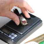 Svg+xml,%3Csvg%20xmlns%3D%22http%3A%2F%2Fwww.w3.org%2F2000%2Fsvg%22%20width%3D%2