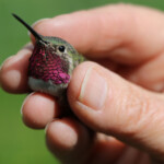 Svg+xml,%3Csvg%20xmlns%3D%22http%3A%2F%2Fwww.w3.org%2F2000%2Fsvg%22%20width%3D%2