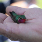 Svg+xml,%3Csvg%20xmlns%3D%22http%3A%2F%2Fwww.w3.org%2F2000%2Fsvg%22%20width%3D%2