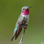 Svg+xml,%3Csvg%20xmlns%3D%22http%3A%2F%2Fwww.w3.org%2F2000%2Fsvg%22%20width%3D%2