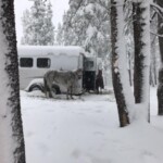 Svg+xml,%3Csvg%20xmlns%3D%22http%3A%2F%2Fwww.w3.org%2F2000%2Fsvg%22%20width%3D%2