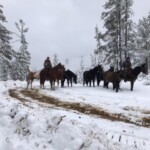 Svg+xml,%3Csvg%20xmlns%3D%22http%3A%2F%2Fwww.w3.org%2F2000%2Fsvg%22%20width%3D%2