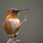 Svg+xml,%3Csvg%20xmlns%3D%22http%3A%2F%2Fwww.w3.org%2F2000%2Fsvg%22%20width%3D%2