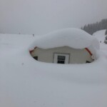 Svg+xml,%3Csvg%20xmlns%3D%22http%3A%2F%2Fwww.w3.org%2F2000%2Fsvg%22%20width%3D%2