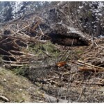 April 25, 2019 Svg+xml,%3Csvg%20xmlns%3D%22http%3A%2F%2Fwww.w3.org%2F2000%2Fsvg%22%20width%3D%2