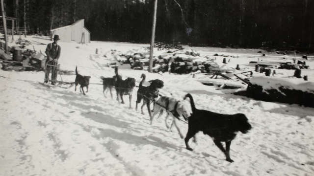 Svg+xml,%3Csvg%20xmlns%3D%22http%3A%2F%2Fwww.w3.org%2F2000%2Fsvg%22%20width%3D%2