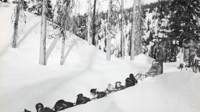 Svg+xml,%3Csvg%20xmlns%3D%22http%3A%2F%2Fwww.w3.org%2F2000%2Fsvg%22%20width%3D%2