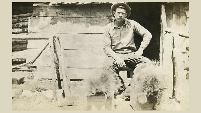 Absetein Collection Svg+xml,%3Csvg%20xmlns%3D%22http%3A%2F%2Fwww.w3.org%2F2000%2Fsvg%22%20width%3D%2